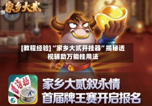 [教程经验]“家乡大贰开挂器”揭秘透视辅助万能挂用法