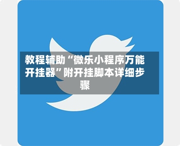 教程辅助“微乐小程序万能开挂器”附开挂脚本详细步骤-第3张图片