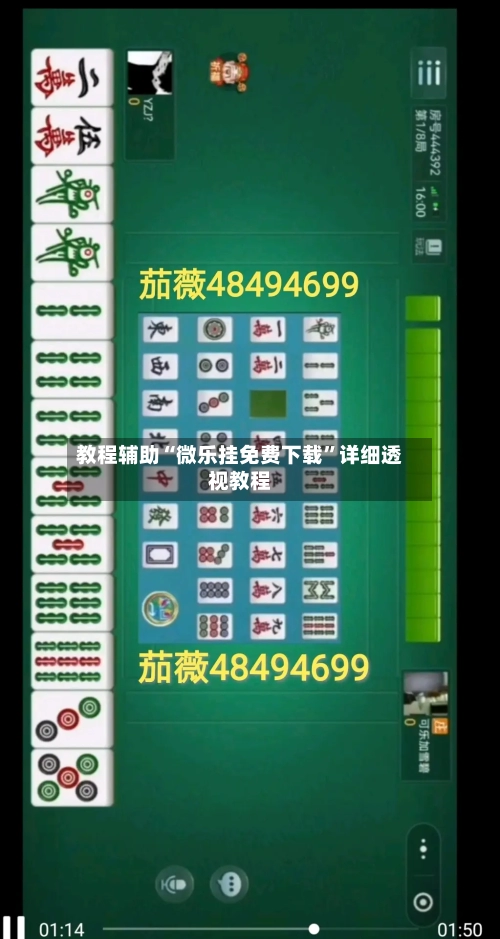教程辅助“微乐挂免费下载”详细透视教程