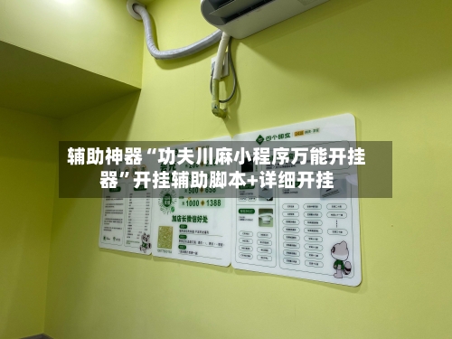 辅助神器“功夫川麻小程序万能开挂器	”开挂辅助脚本+详细开挂-第2张图片