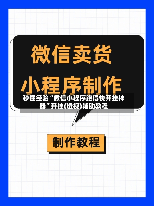 秒懂经验“微信小程序跑得快开挂神器”开挂(透视)辅助教程-第3张图片
