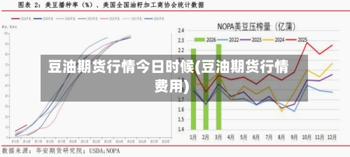 豆油期货行情今日时候(豆油期货行情费用)