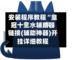 安装程序教程“皇冠十三水辅助器链接(辅助神器)开挂详细教程