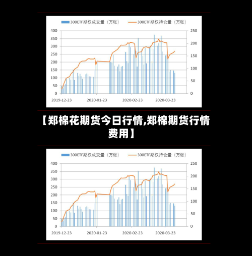 【郑棉花期货今日行情,郑棉期货行情费用】
