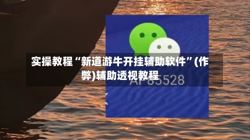 实操教程“新道游牛开挂辅助软件”(作弊)辅助透视教程-第2张图片