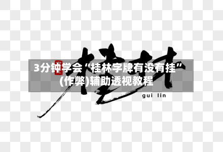 3分钟学会“桂林字牌有没有挂”(作弊)辅助透视教程