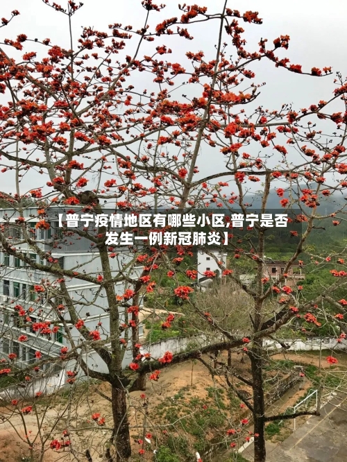 【普宁疫情地区有哪些小区,普宁是否发生一例新冠肺炎】