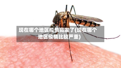 现在哪个地区疫情高发了(现在哪个地区疫情比较严重)