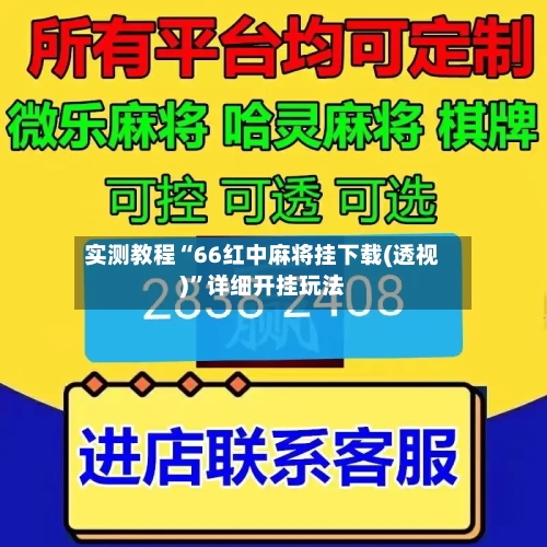 实测教程“66红中麻将挂下载(透视)”详细开挂玩法-第2张图片
