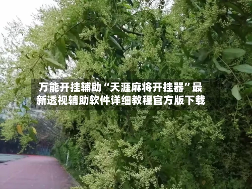 万能开挂辅助“天涯麻将开挂器”最新透视辅助软件详细教程官方版下载-第2张图片