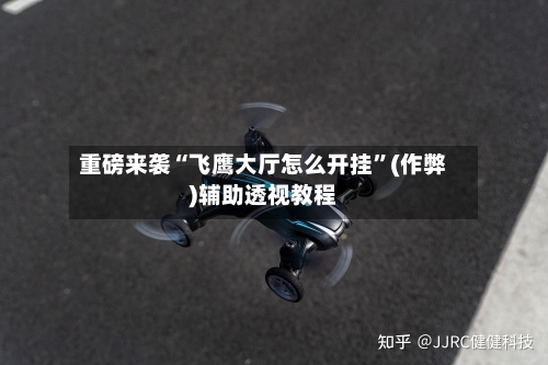 重磅来袭“飞鹰大厅怎么开挂”(作弊)辅助透视教程-第2张图片