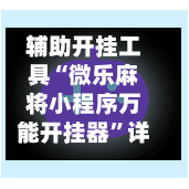 辅助开挂工具“微乐麻将小程序万能开挂器	”详细透视教程-第2张图片