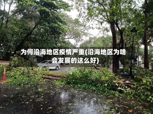 为何沿海地区疫情严重(沿海地区为啥会发展的这么好)-第2张图片