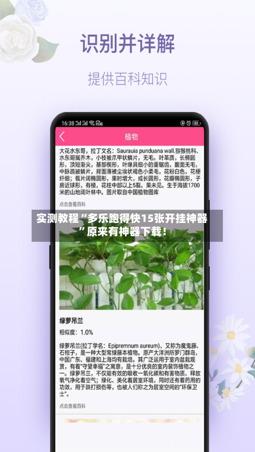 实测教程“多乐跑得快15张开挂神器”原来有神器下载！