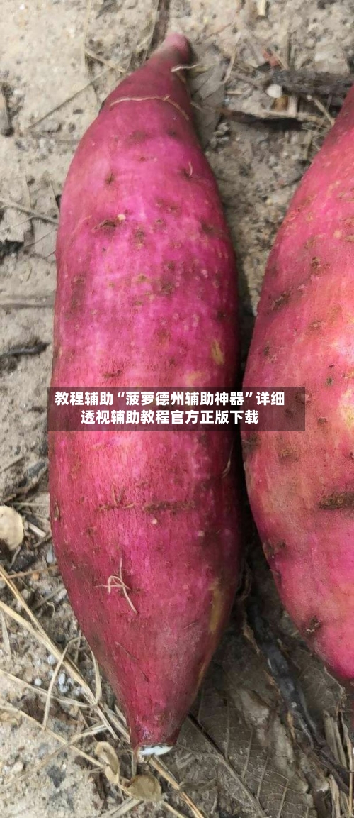 教程辅助“菠萝德州辅助神器”详细透视辅助教程官方正版下载