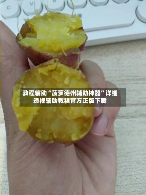 教程辅助“菠萝德州辅助神器	”详细透视辅助教程官方正版下载-第2张图片