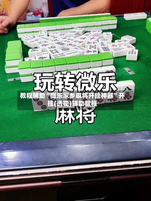 教程辅助“微乐家乡麻将开挂神器”开挂(透视)辅助教程-第2张图片