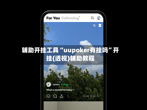 辅助开挂工具“uupoker有挂吗”开挂(透视)辅助教程-第2张图片