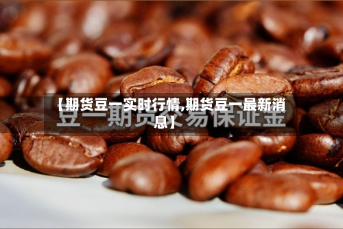 【期货豆一实时行情,期货豆一最新消息】