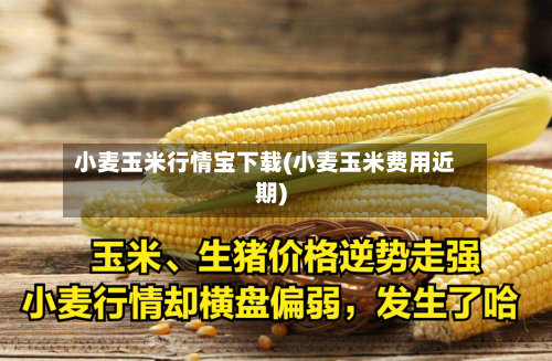 小麦玉米行情宝下载(小麦玉米费用近期)