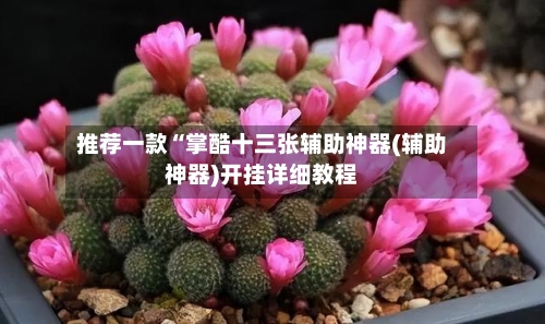 推荐一款“掌酷十三张辅助神器(辅助神器)开挂详细教程