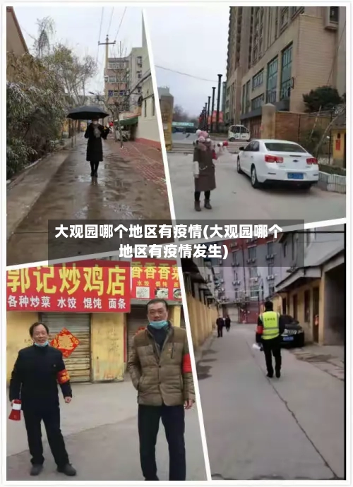 大观园哪个地区有疫情(大观园哪个地区有疫情发生)-第3张图片