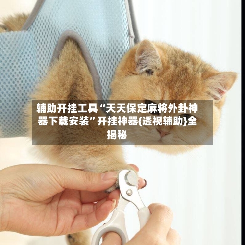 辅助开挂工具“天天保定麻将外卦神器下载安装”开挂神器{透视辅助}全揭秘