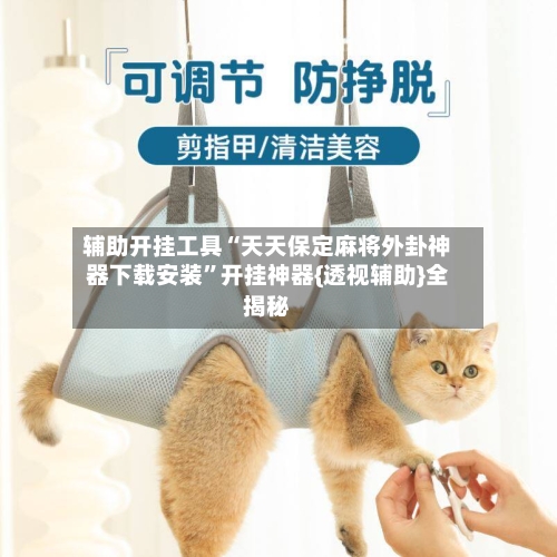 辅助开挂工具“天天保定麻将外卦神器下载安装	”开挂神器{透视辅助}全揭秘-第2张图片