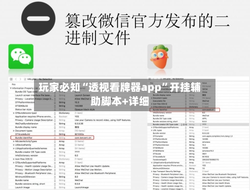玩家必知“透视看牌器app”开挂辅助脚本+详细-第3张图片