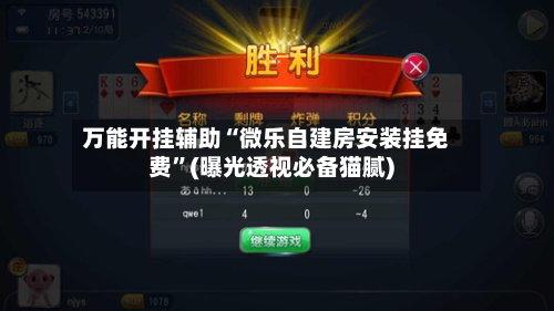 万能开挂辅助“微乐自建房安装挂免费”(曝光透视必备猫腻)-第3张图片