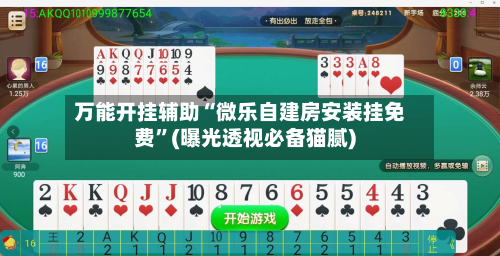 万能开挂辅助“微乐自建房安装挂免费”(曝光透视必备猫腻)