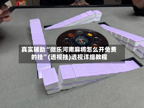 真实辅助“微乐河南麻将怎么开免费的挂”(透视挂)透视详细教程-第2张图片