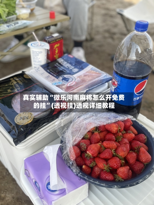 真实辅助“微乐河南麻将怎么开免费的挂”(透视挂)透视详细教程