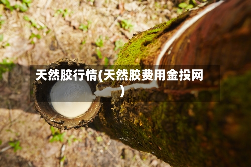 天然胶行情(天然胶费用金投网)-第3张图片