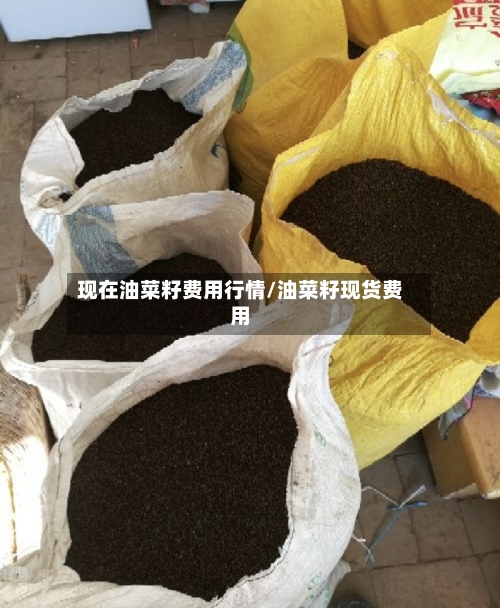 现在油菜籽费用行情/油菜籽现货费用