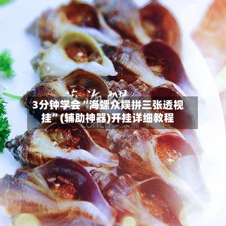 3分钟学会“海螺众娱拼三张透视挂”(辅助神器)开挂详细教程-第2张图片