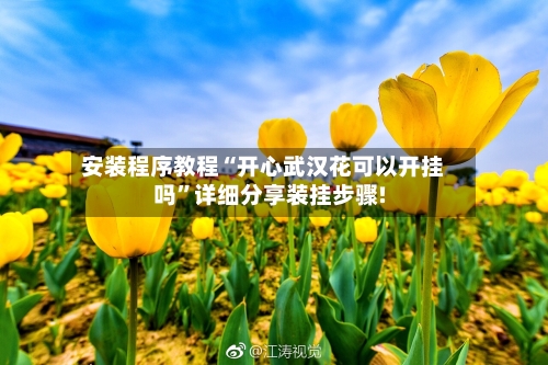 安装程序教程“开心武汉花可以开挂吗”详细分享装挂步骤!-第2张图片