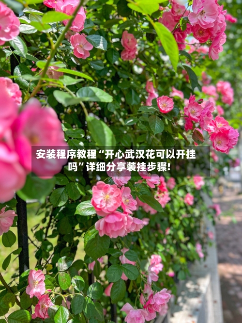 安装程序教程“开心武汉花可以开挂吗”详细分享装挂步骤!