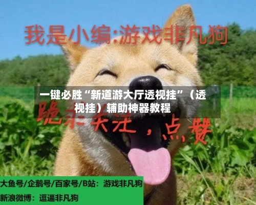 一键必胜“新道游大厅透视挂”（透视挂）辅助神器教程