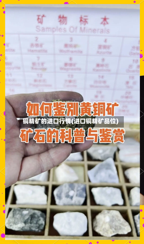 铜精矿的进口行情(进口铜精矿品位)