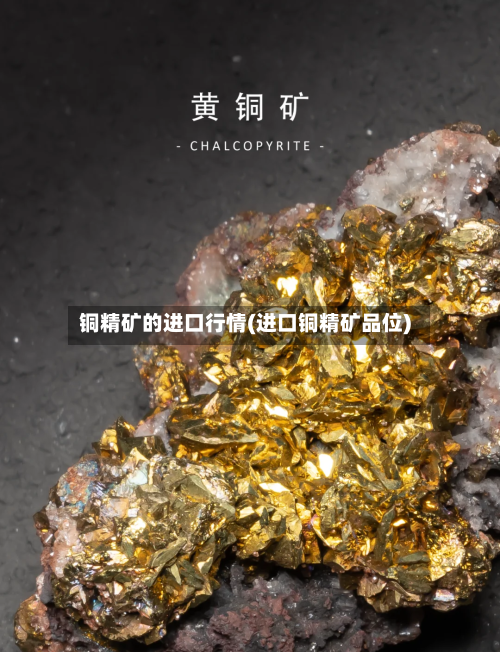 铜精矿的进口行情(进口铜精矿品位)-第2张图片