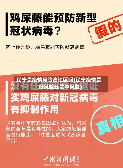 辽宁是疫情风险高地区吗(辽宁疫情是低风险还是中风险)
