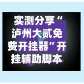 实测分享“泸州大贰免费开挂器”开挂辅助脚本+详细开挂安装教程-第3张图片