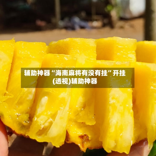 辅助神器“海南麻将有没有挂”开挂(透视)辅助神器