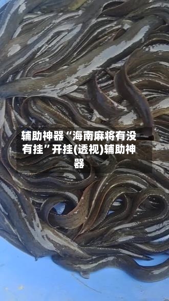 辅助神器“海南麻将有没有挂”开挂(透视)辅助神器-第2张图片