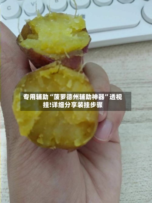 专用辅助“菠萝德州辅助神器”透视挂!详细分享装挂步骤-第2张图片