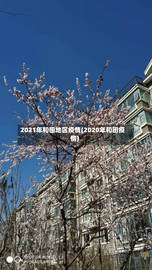 2021年和田地区疫情(2020年和田疫情)