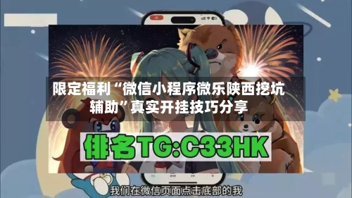 限定福利“微信小程序微乐陕西挖坑辅助”真实开挂技巧分享-第3张图片