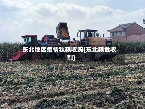 东北地区疫情秋粮收购(东北粮食收割)-第3张图片