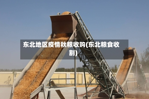 东北地区疫情秋粮收购(东北粮食收割)-第2张图片
